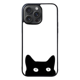 black cat Case iPhone 15 Pro Max BC2999