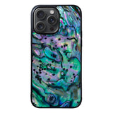Rainbow Abalone Haliotis Iris Case iPhone 15 Pro BC2890