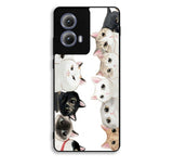 Cat Community Motorola Moto Edge 2024 Case FE5573
